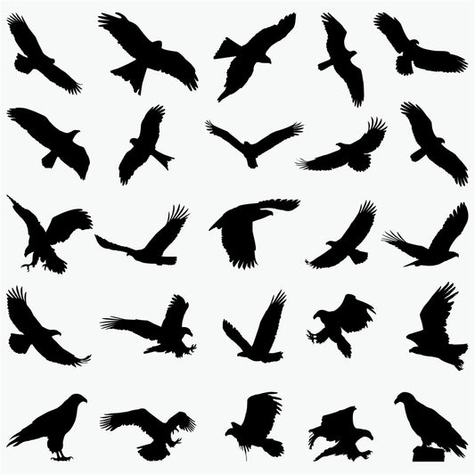 Bird Silhouette Collection