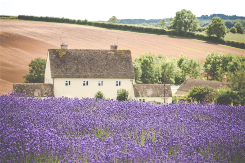 Country Side Landscape - France-Flag Menu