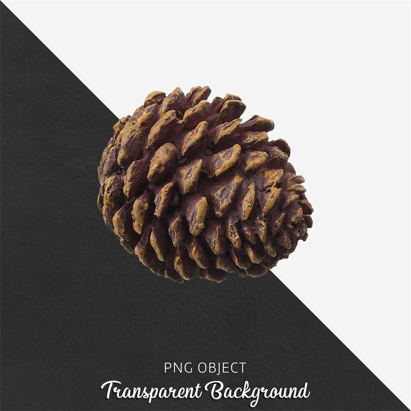 Christmas Tree Branch&Pinecone PNG-Flag Menu