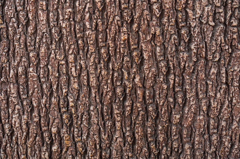 Bark Tree Texture-Flag Menu