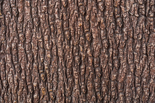 Bark Tree Texture-Flag Menu