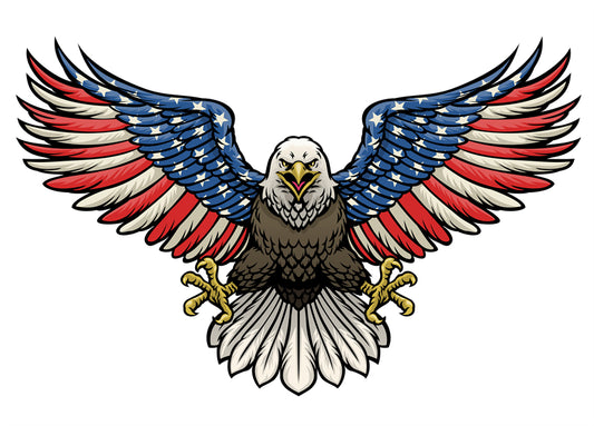 USA Bald Eagle -Illustration