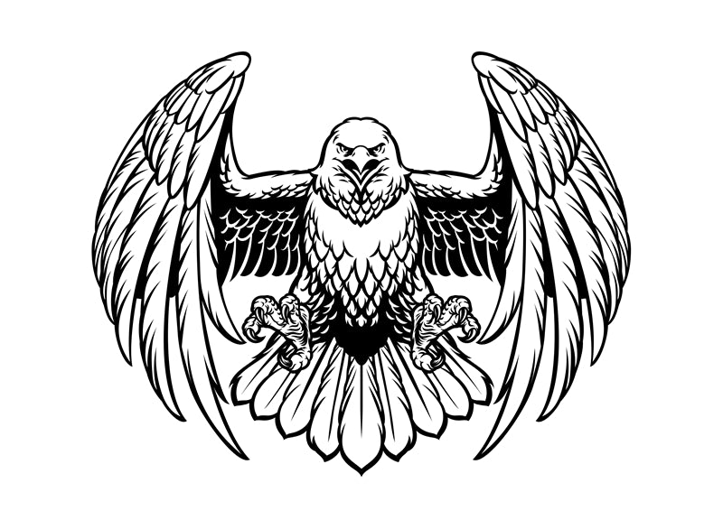 Bald Eagle Elements - Illustration